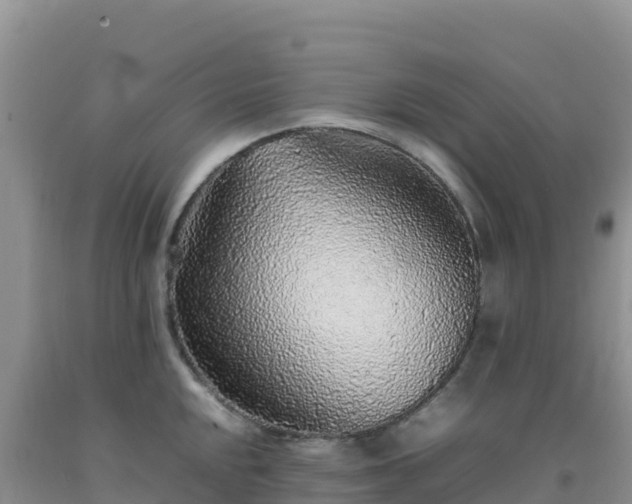 X0000092101048200709191303