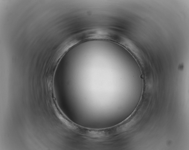 X0000092101049200709191303