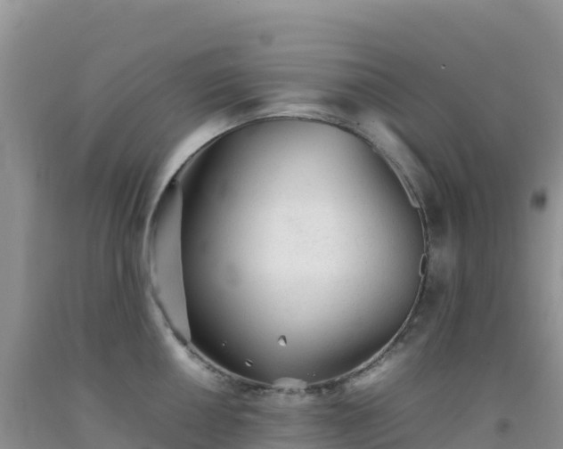 X0000092101050200709191303