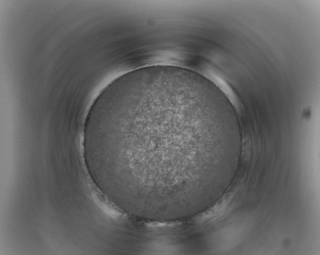 X0000092101051200709191303