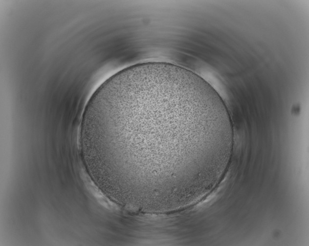 X0000092101052200709191303