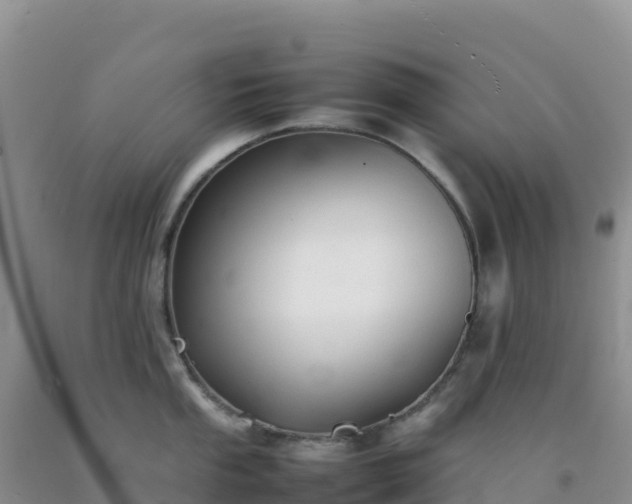 X0000092101053200709191303