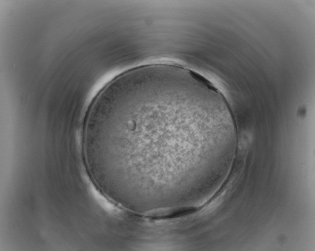 X0000092101054200709191303