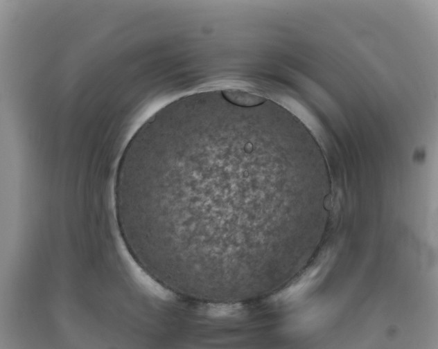 X0000092101055200709191303