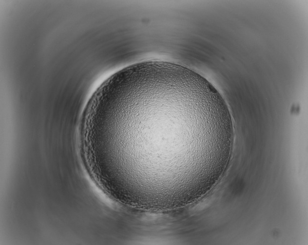 X0000092101056200709191303