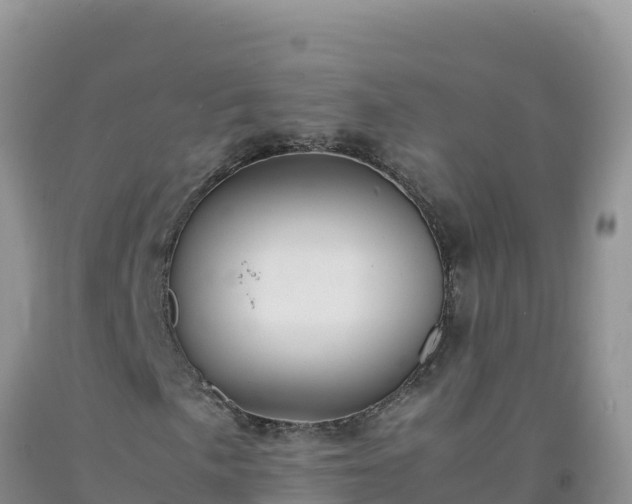 X0000092101057200709191302