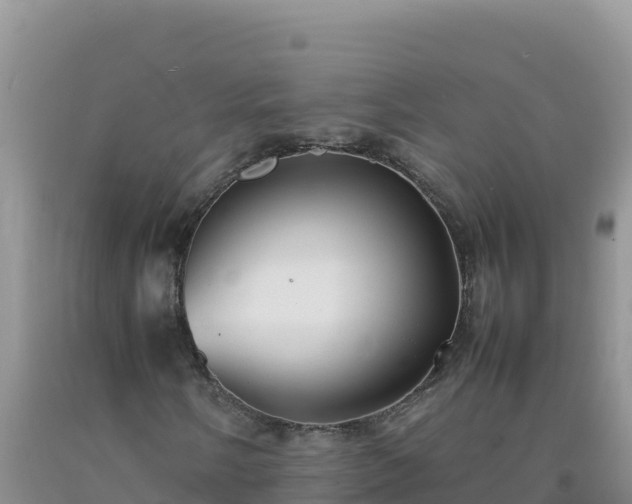 X0000092101058200709191302