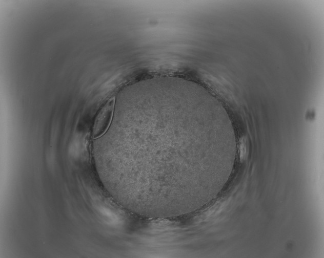 X0000092101059200709191302