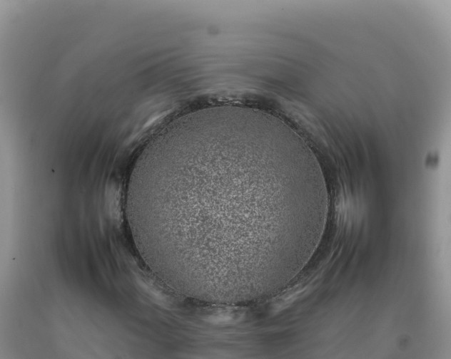 X0000092101060200709191302