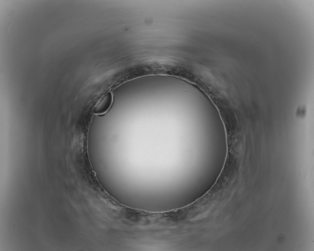 X0000092101061200709191302