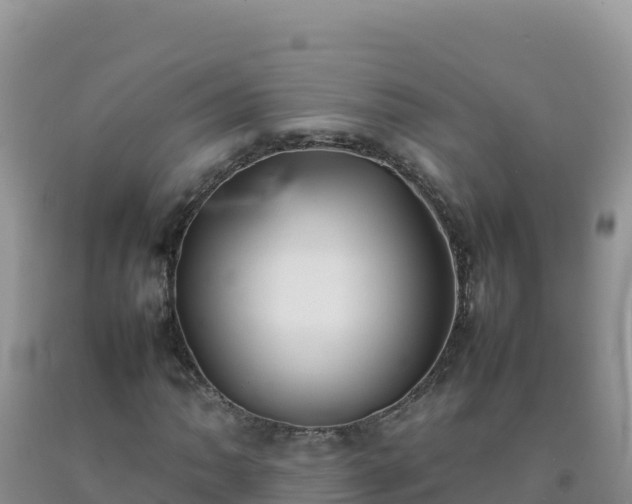 X0000092101062200709191302