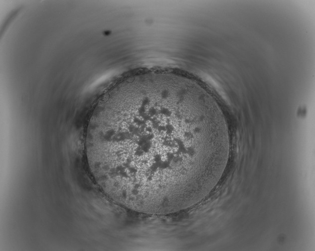 X0000092101063200709191302