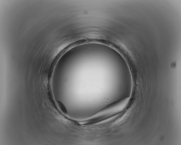 X0000092101065200709191302