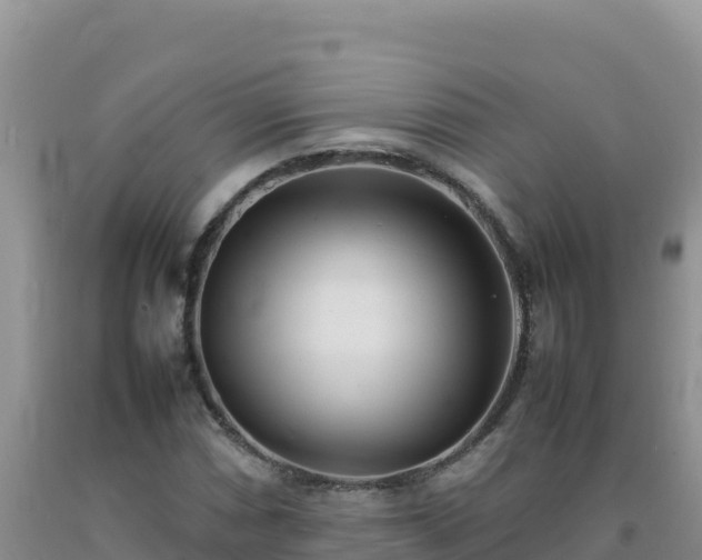 X0000092101066200709191302