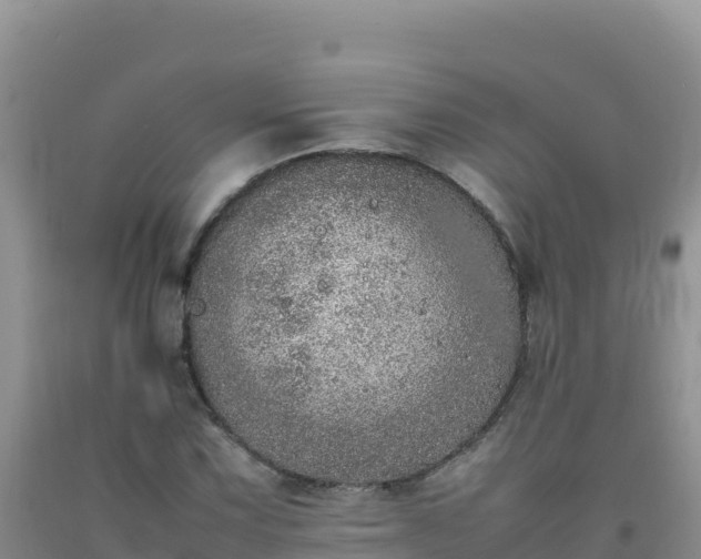 X0000092101067200709191302