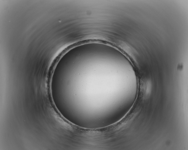 X0000092101068200709191302