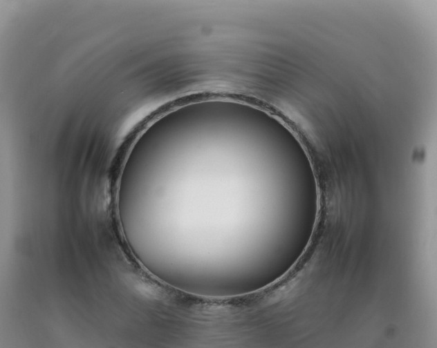 X0000092101070200709191302