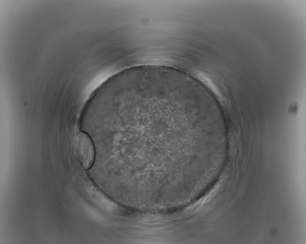 X0000092101071200709191302