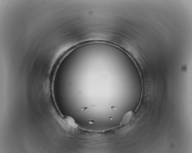 X0000092101072200709191302