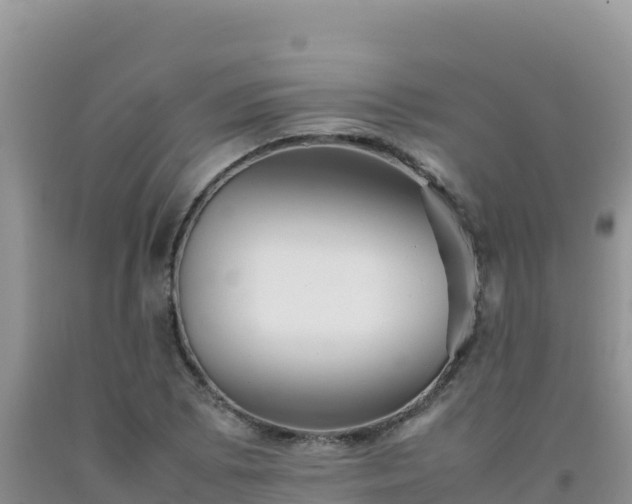 X0000092101073200709191302