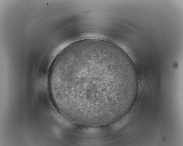 X0000092101074200709191302