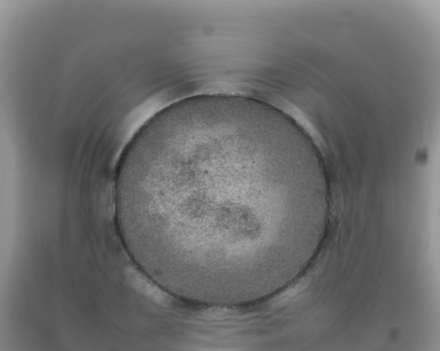 X0000092101075200709191302