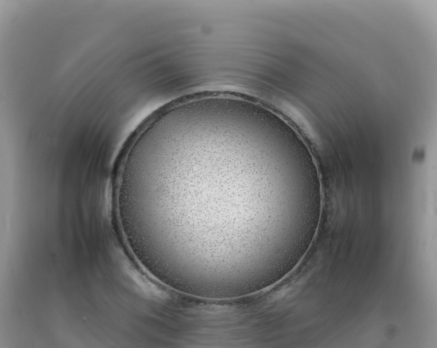 X0000092101076200709191302