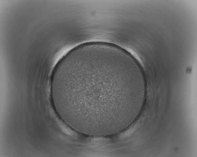 X0000092101077200709191302