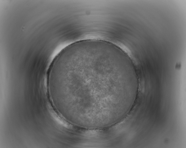 X0000092101078200709191302