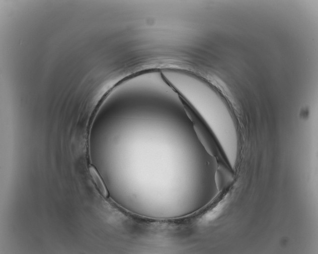 X0000092101081200709191302