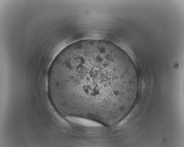 X0000092101083200709191302