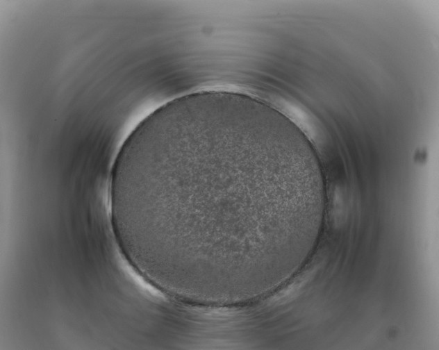 X0000092101084200709191302