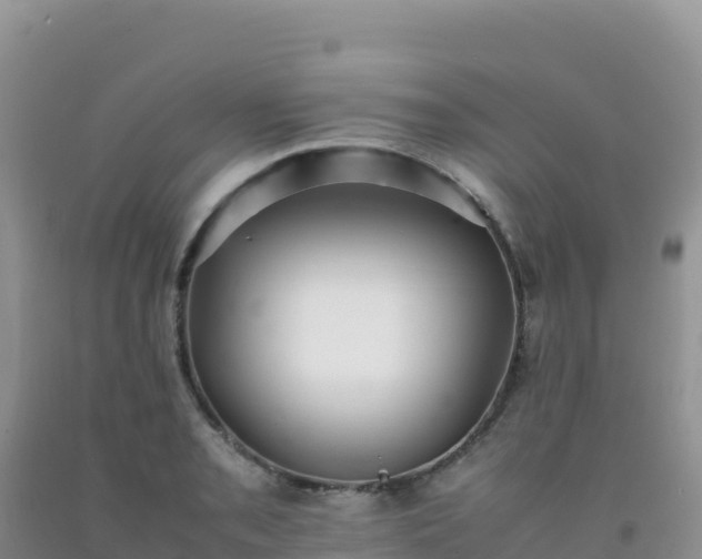 X0000092101085200709191302