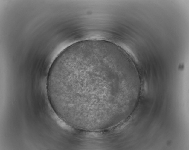 X0000092101086200709191302