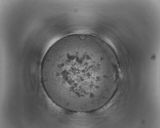 X0000092101087200709191302