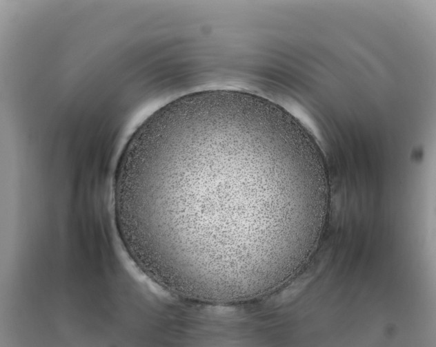 X0000092101088200709191301