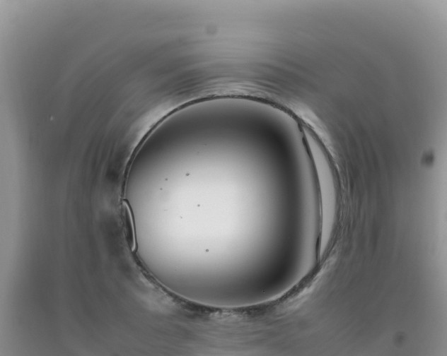 X0000092101089200709191301