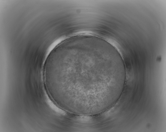 X0000092101090200709191301