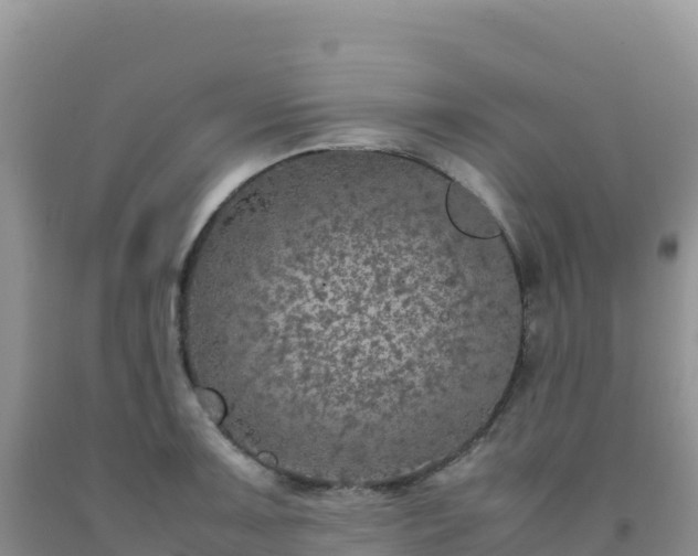 X0000092101091200709191301