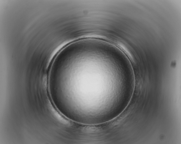 X0000092101092200709191301