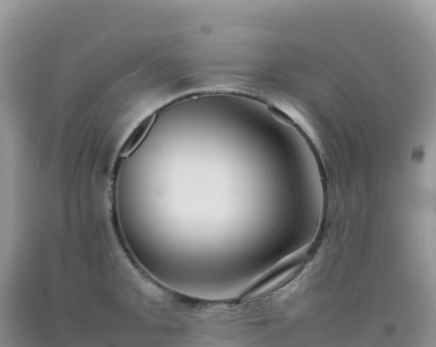 X0000092101093200709191301