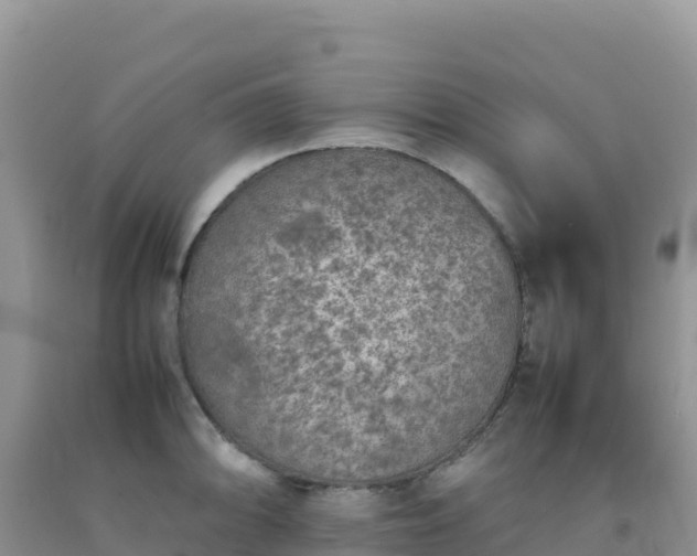 X0000092101094200709191301