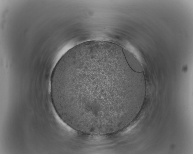 X0000092101095200709191301