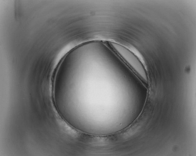 X0000092101096200709191301