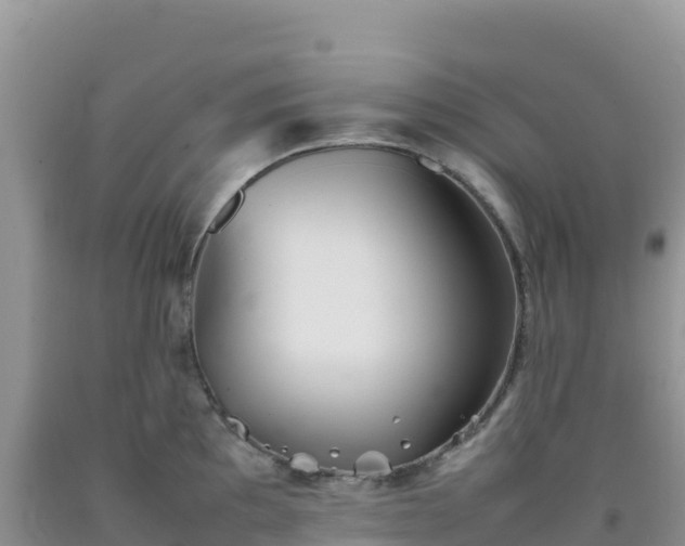 X0000092101097200709191301