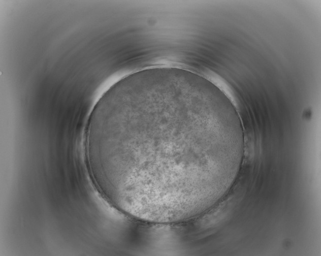 X0000092101098200709191301