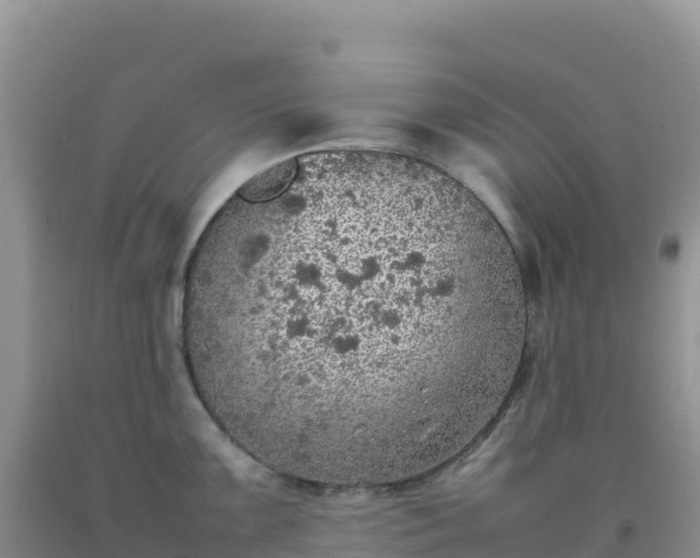 X0000092101099200709191301