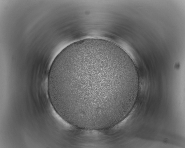 X0000092101100200709191301