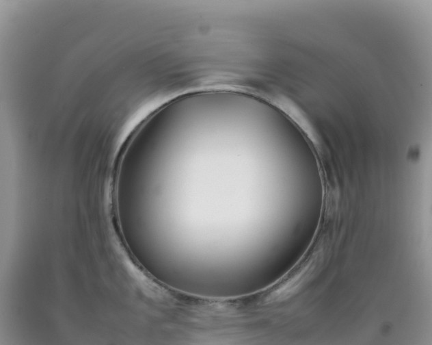 X0000092101101200709191301