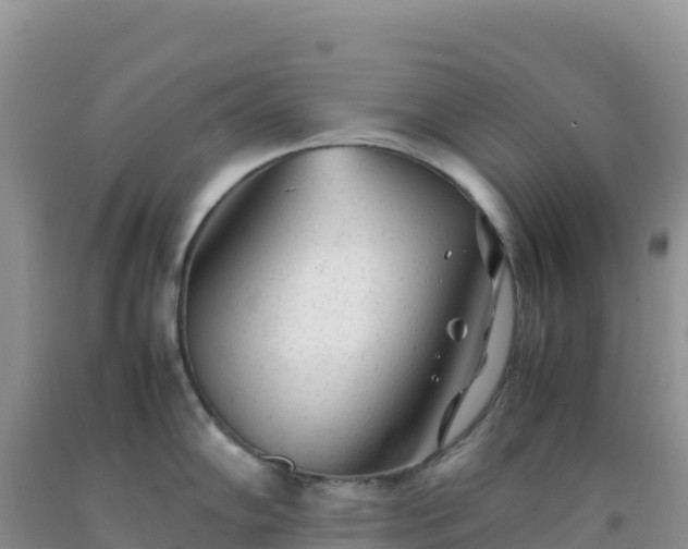 X0000092101102200709191301